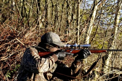 Rifle 22